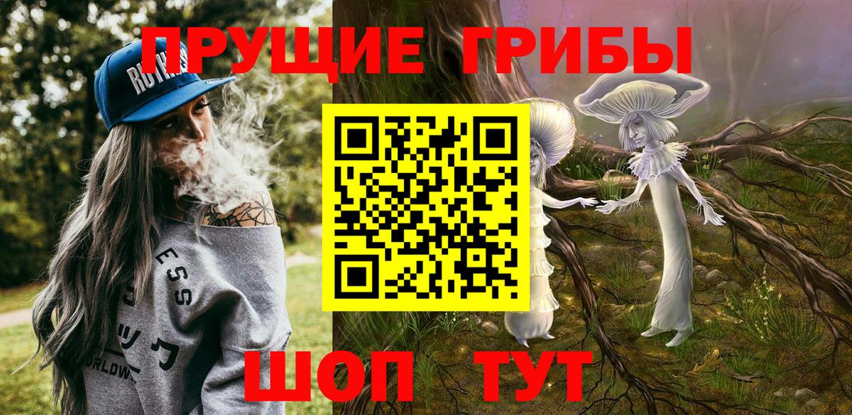 купить закладку  Вход с VPN  Валуйки  Галлюциногенные грибы GOLDEN TEACHER 